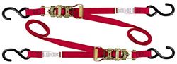 Picture of ANCRA 47439-10 Rat Pak Tie Downs