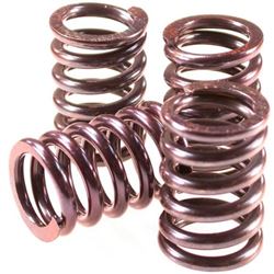 Picture of Barnett 501-66-06010 Clutch Spring Kit