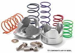 Picture of EPI WE437207 Mudder Clutch Wildcat Tr