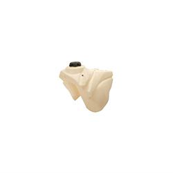 Picture of IMS 125512-N2 O/s Fuel Tank Nat 3.6 Gal Ltr 450r
